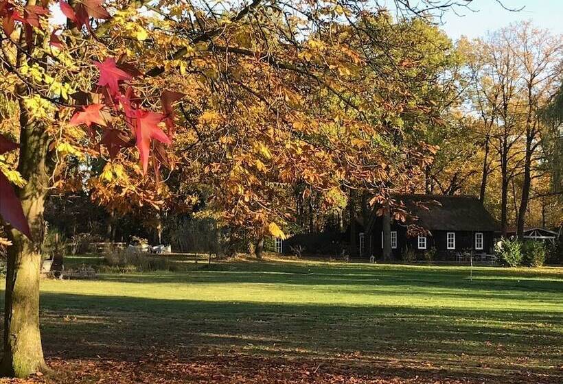 ベッドアンドブレックファースト Hof Van Eersel