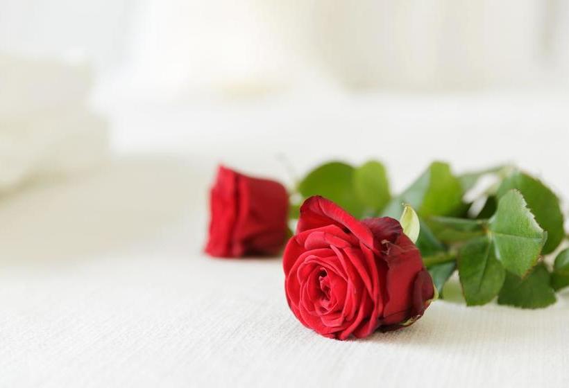 تختخواب و صبحانه La Marquise Chambres D Hãƒæ’ã‚â´tes De Luxe