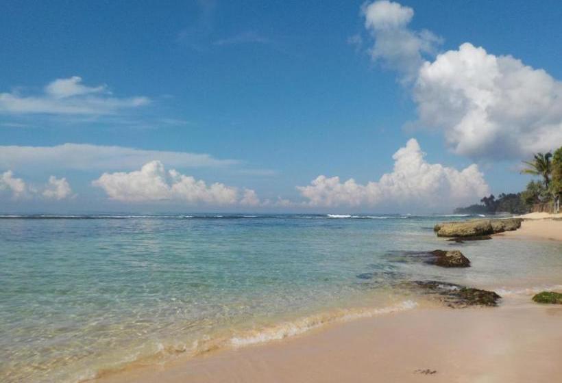 Bed & Breakfast Lilly House