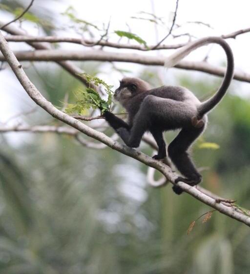 Bed & Breakfast Lilly House