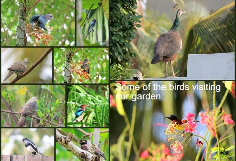 Bed & Breakfast Lilly House