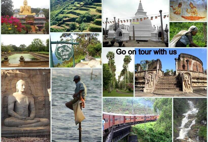 Bed & Breakfast Lilly House