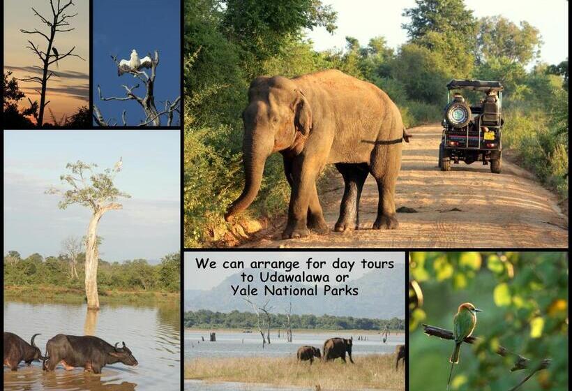 Bed & Breakfast Lilly House