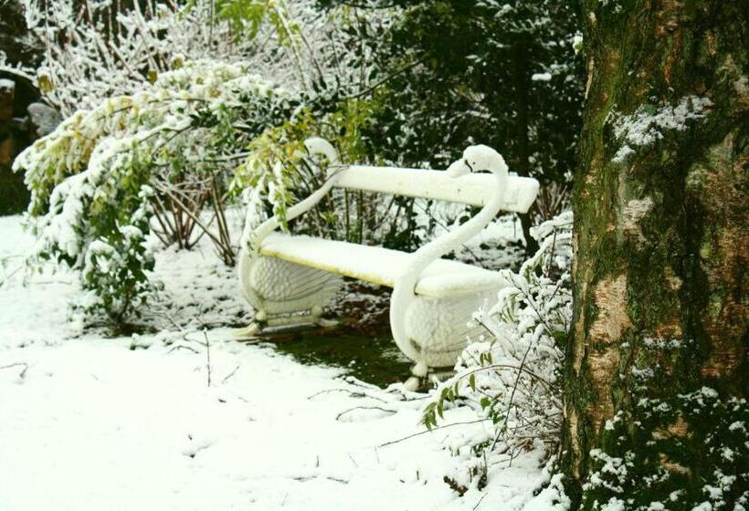 Bed and Breakfast Logement Swaenenvecht