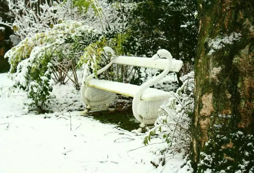 Bed and Breakfast Logement Swaenenvecht