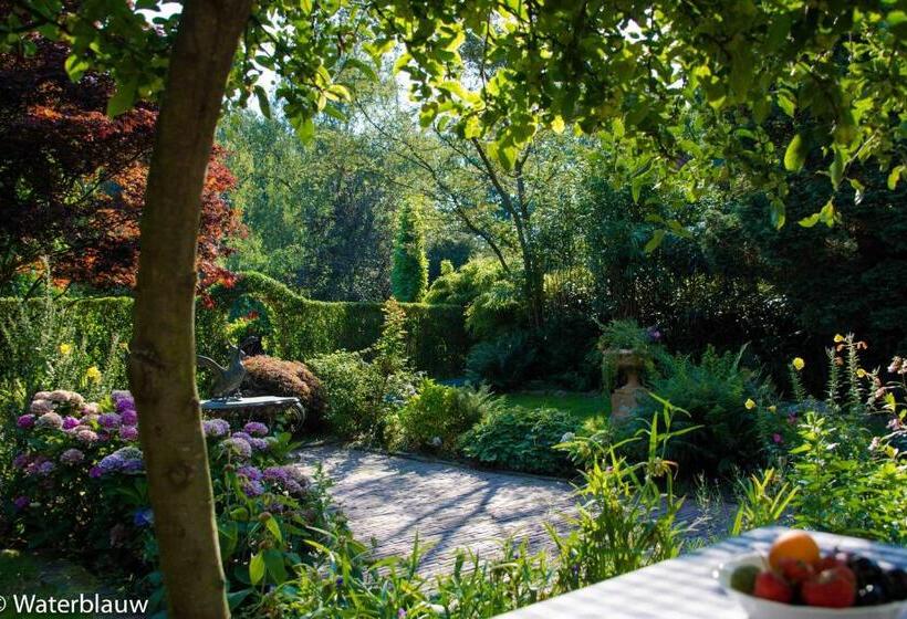 Bed and Breakfast Logement Swaenenvecht