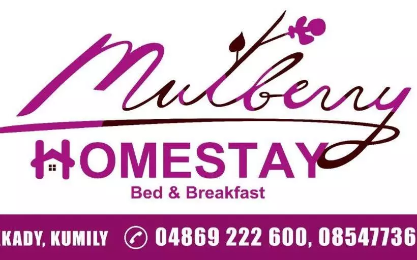 ベッドアンドブレックファースト Mulberry Homestay