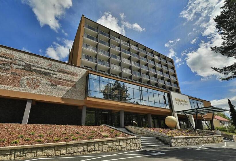 Отель Alexander