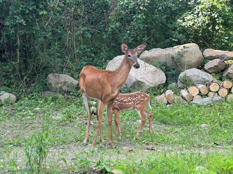 ホテル Port Carling House