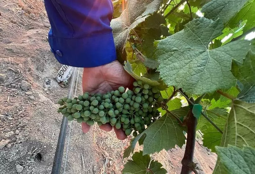 Castillo Toscana Hotel Boutique