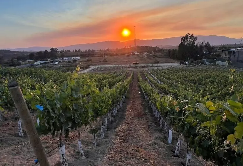 Castillo Toscana Hotel Boutique