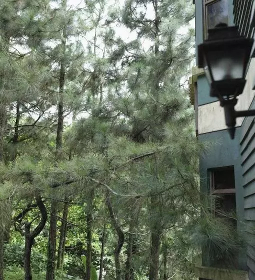 Innscape Condo In Crosswind Tagaytay
