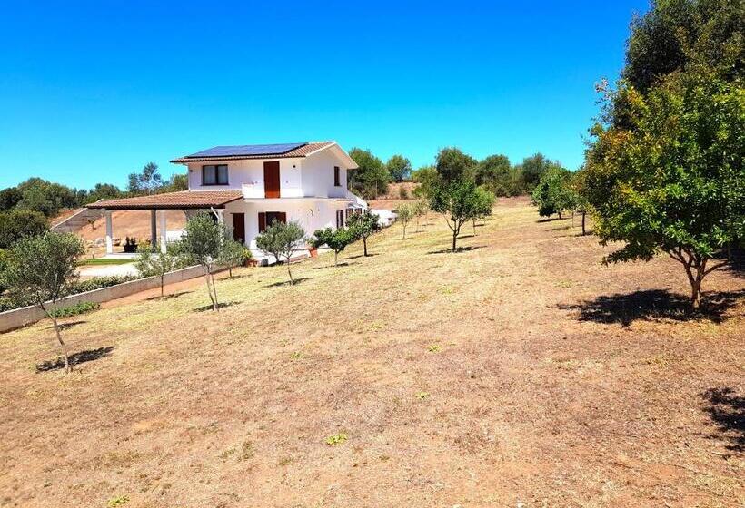 膳宿费 Nova Rooms