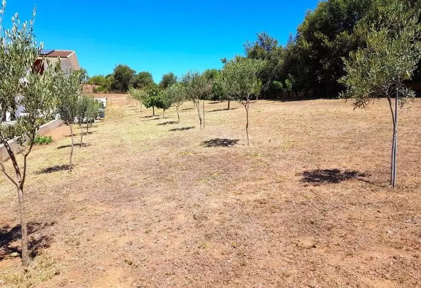 پانسیون Nova Rooms