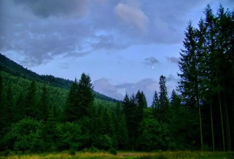 هتل Complex Svitanok
