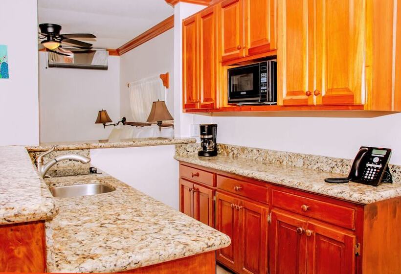 هتل Mayan Princess