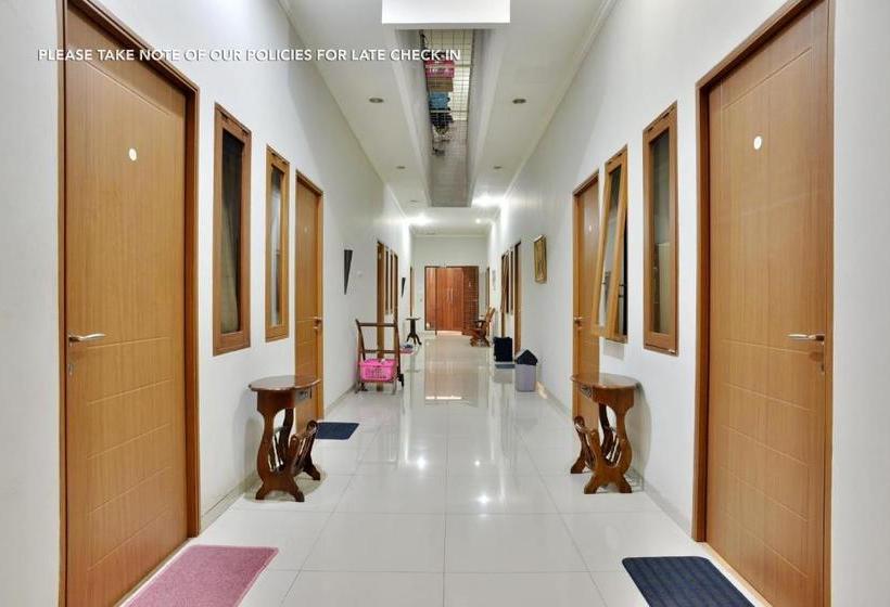 فندق Casa Vanda Guesthouse