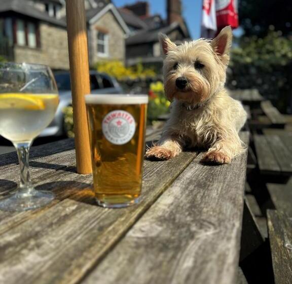 הוסטל Craven Heifer