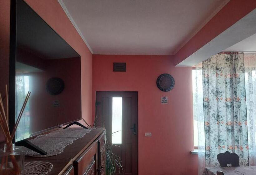 بنسيون Serena House