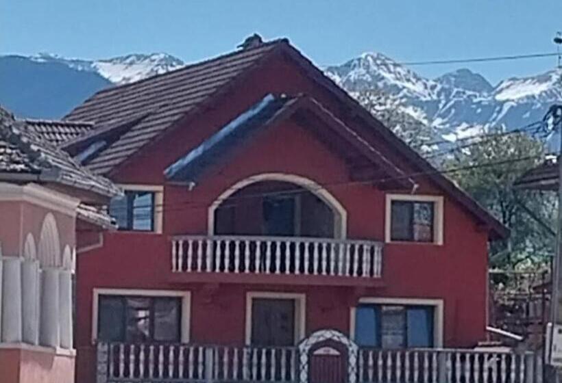 بنسيون Serena House