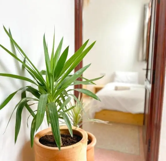 ベッドアンドブレックファースト Ecobay Hostel