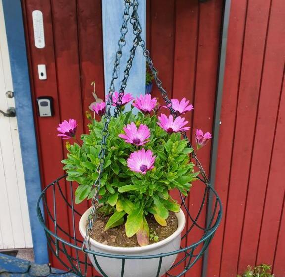 צימר Pearl Of ätran