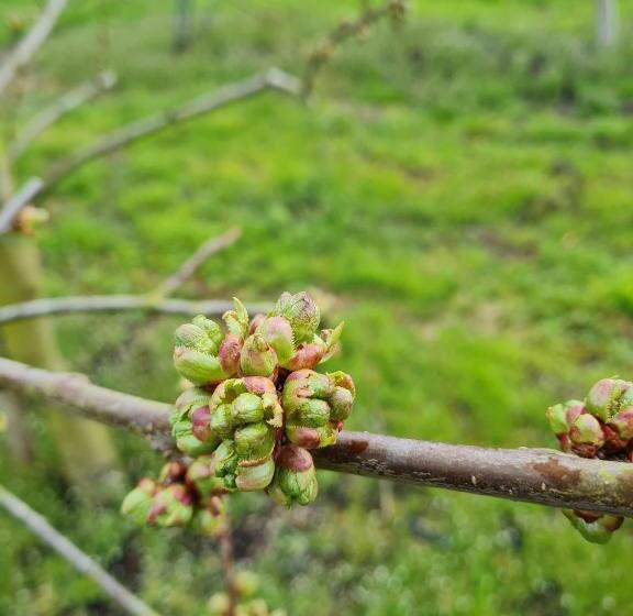فندق Ferienwohnung Annegret Schuback