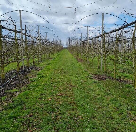 فندق Ferienwohnung Annegret Schuback