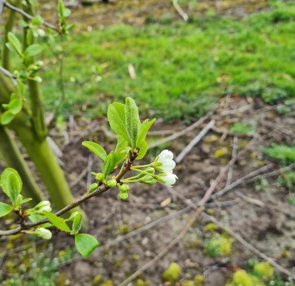 فندق Ferienwohnung Annegret Schuback