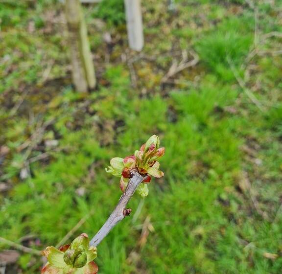 فندق Ferienwohnung Annegret Schuback