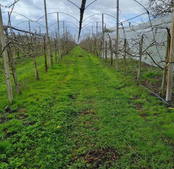 فندق Ferienwohnung Annegret Schuback