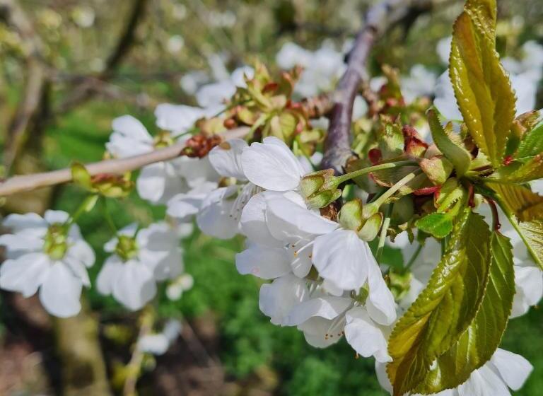فندق Ferienwohnung Annegret Schuback