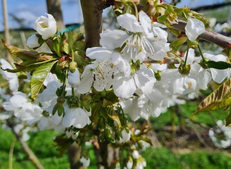 فندق Ferienwohnung Annegret Schuback