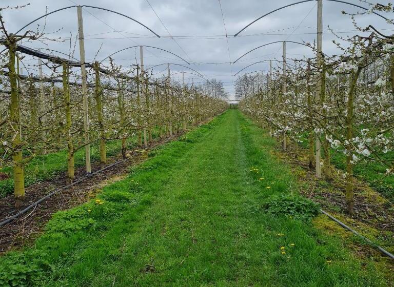 Отель Ferienwohnung Annegret Schuback