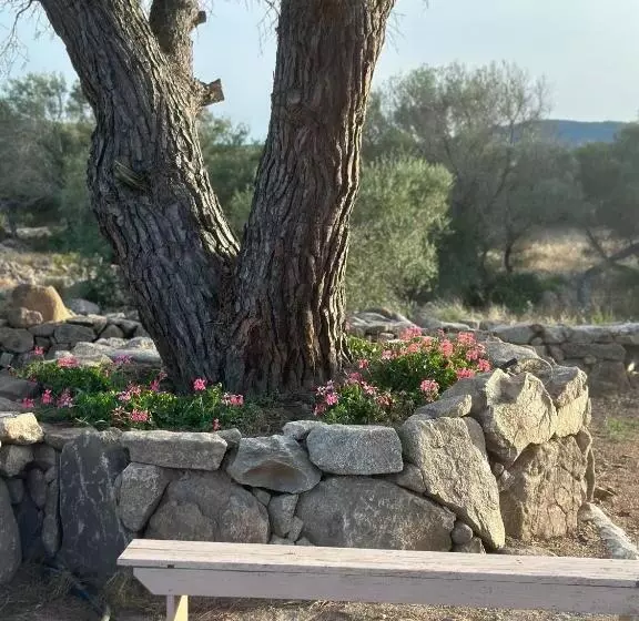 Aamiaismajoitus (B&B) Ammentos