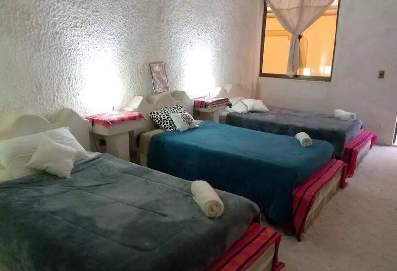 هتل Hostal Beds Of Salt Ga
