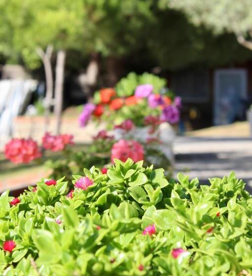 בית מלון כפרי Vila Mare Nostrum