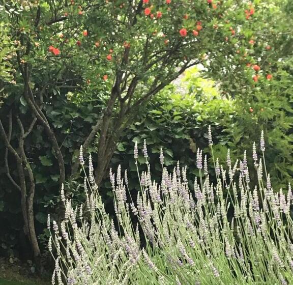 住宿加早餐  Chambre D Hôtes Indépendante Les Agaphantes