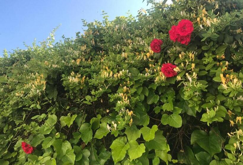 住宿加早餐  Chambre D Hôtes Indépendante Les Agaphantes