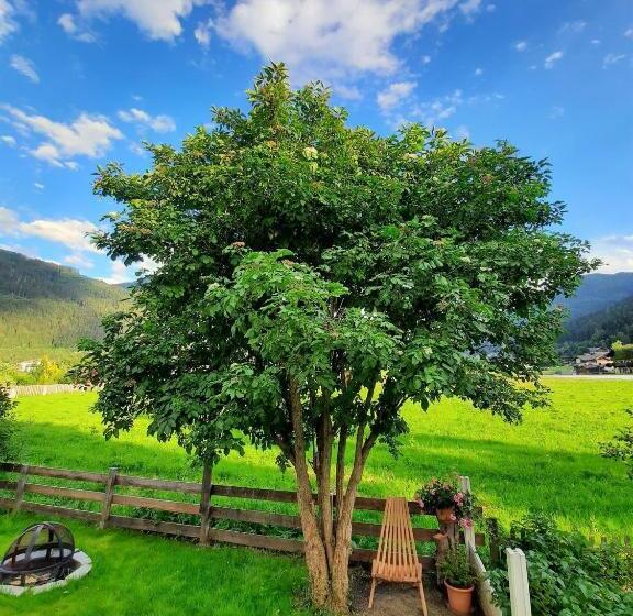 Bed and Breakfast D Hoamatliab