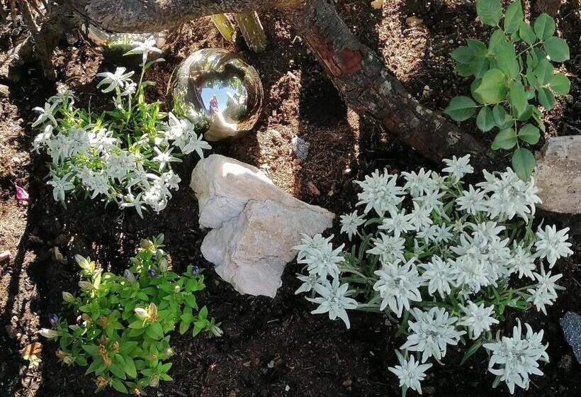 Bed and Breakfast D Hoamatliab