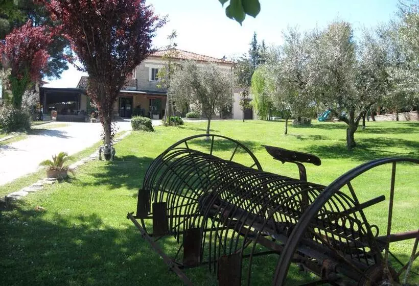 ホテル Agriturismo La Collinetta