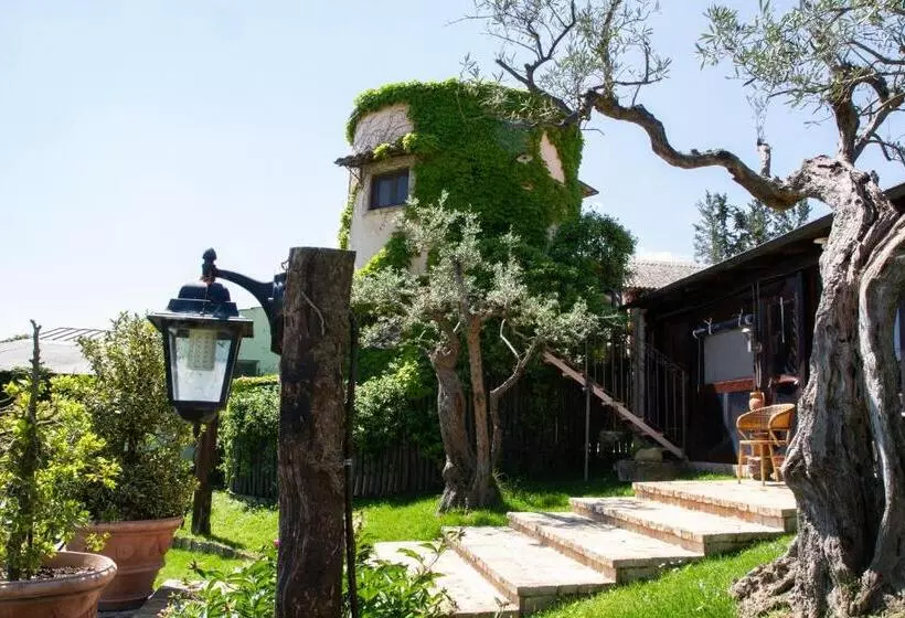 ホテル Agriturismo La Collinetta
