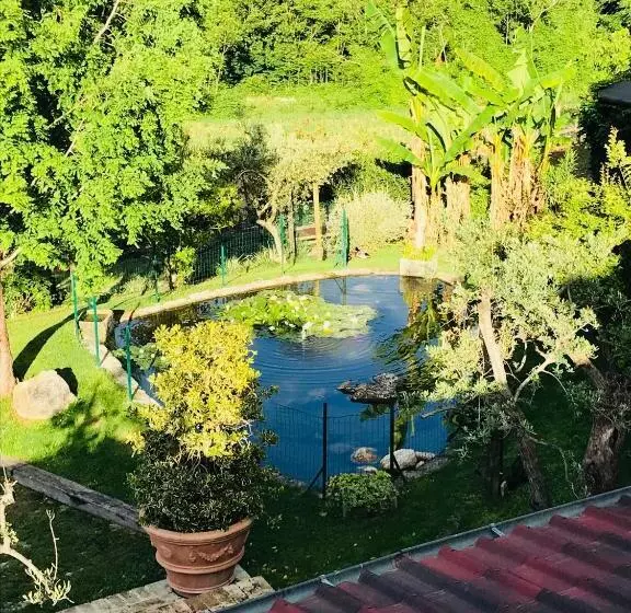 ホテル Agriturismo La Collinetta