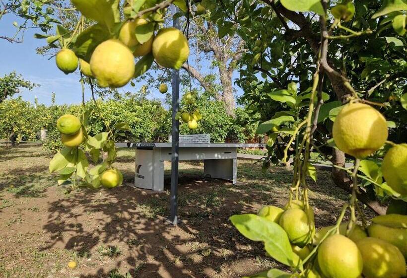 هتل Agriturismo Lumia Resort