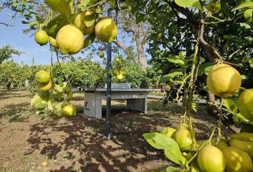 ホテル Agriturismo Lumia Resort