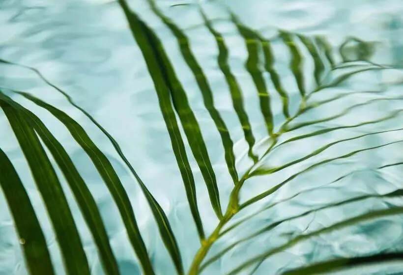 Hotelli Fairmont Breakers Long Beach