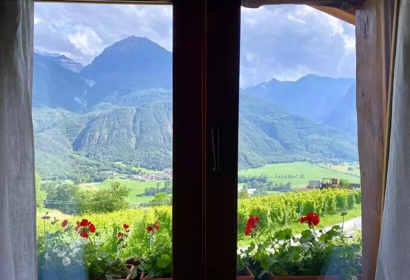 ペンション La Vrille   Chambres D Hôtes