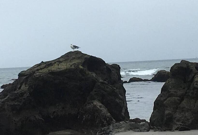 Pensão Oasis Wadaura   Vacation Stay 85732v