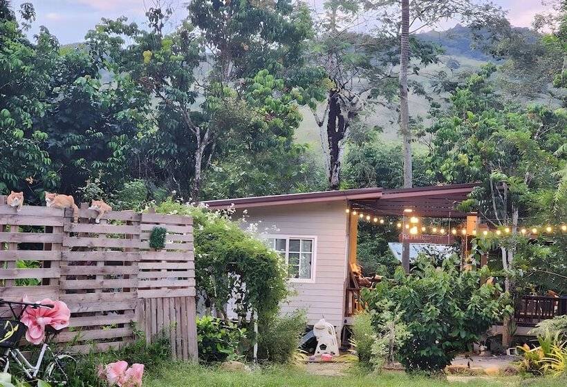 بنسيون Rat Min House